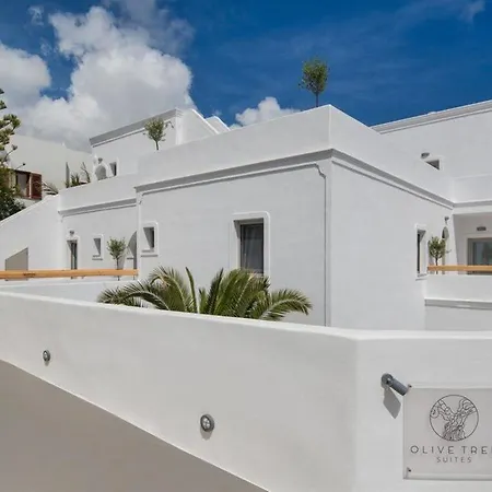 Olive Tree Hotel apartamentowy
