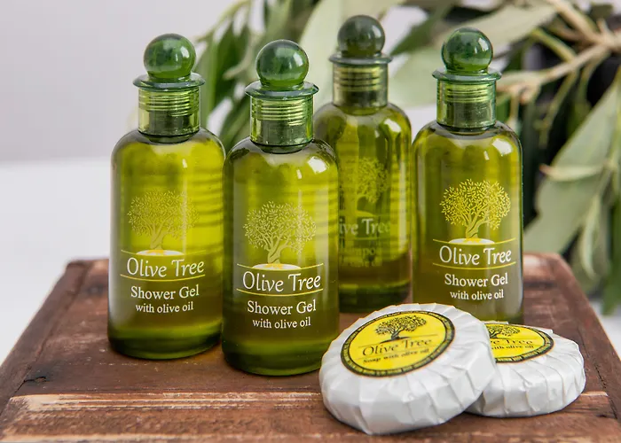 Olive Tree