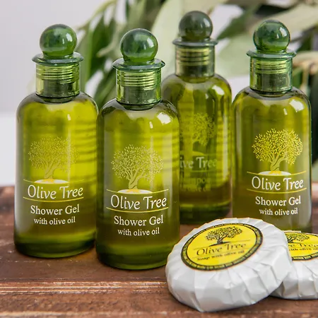 Olive Tree